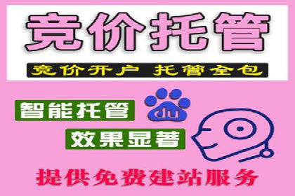 SEM服务优化案例：提升广告效果的方法与策略